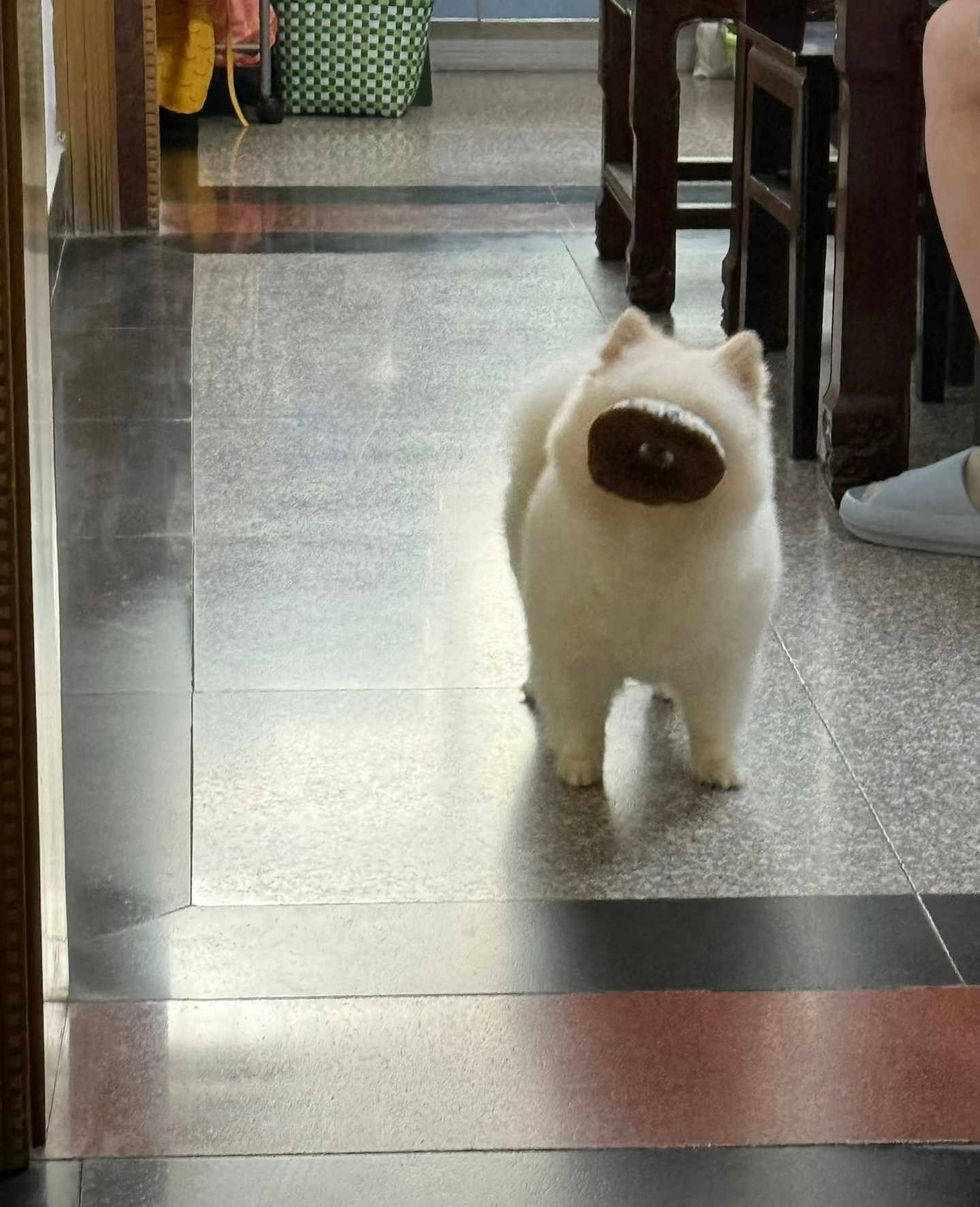 宝宝你好像˙Ꙫ˙这个猪鼻子呀​​​
