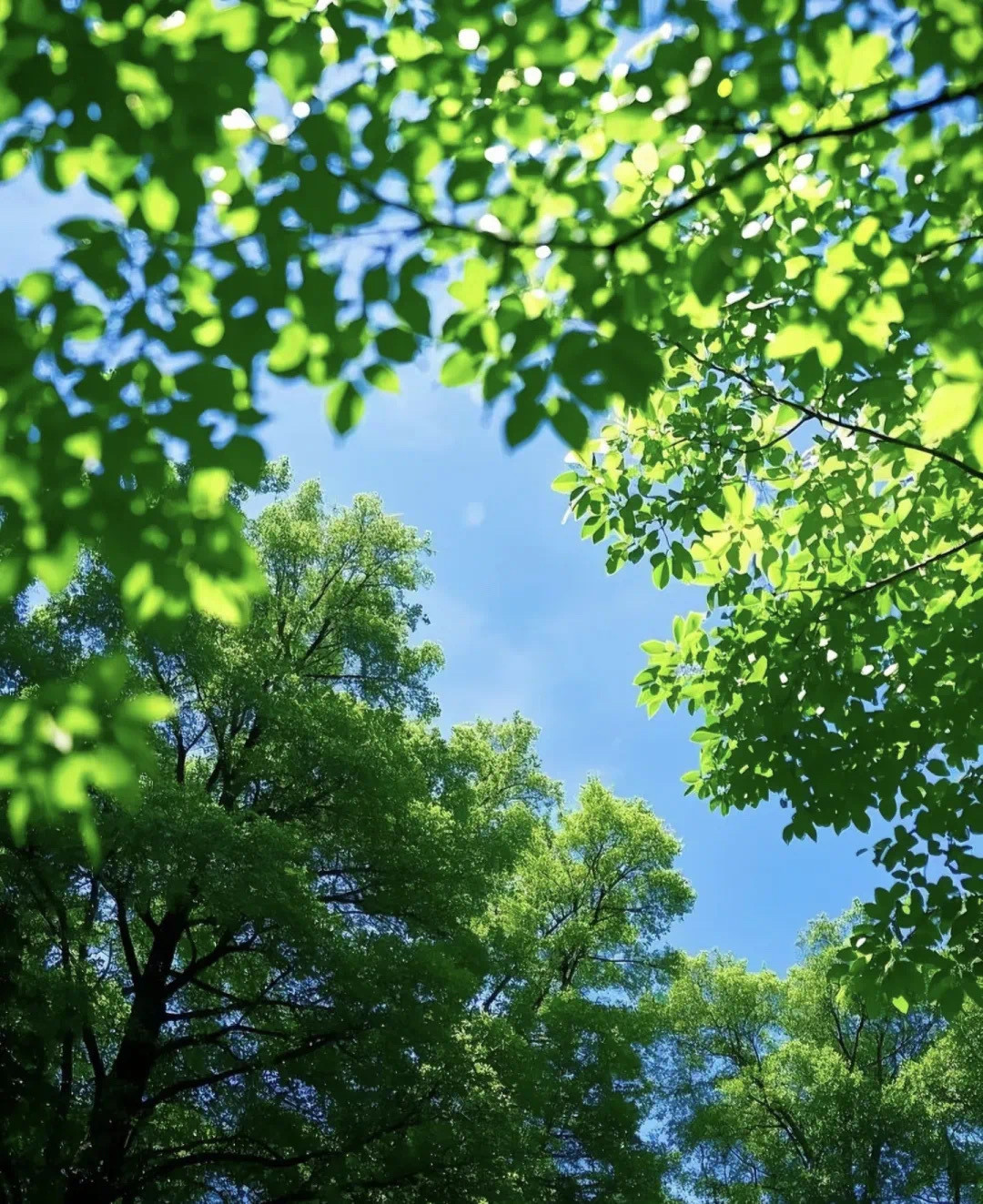 记住：你的任务是尽可能体验世界的丰盈，借此修福积德趁早脱离轮回，而不是总想着去改