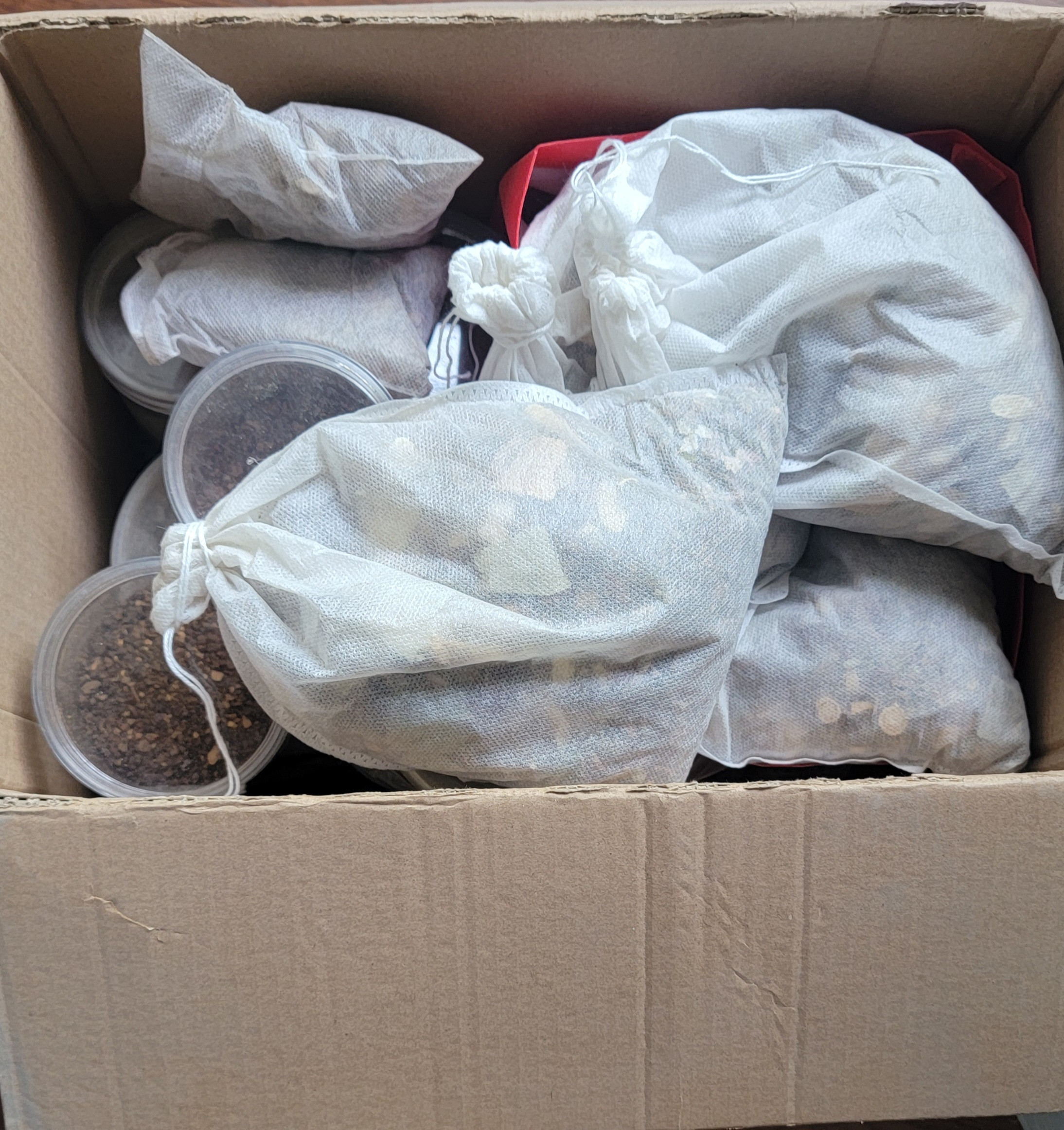 小儿湿疹处方，凉血清热玄参20克、生地黄20克、干桑叶20克、连翘