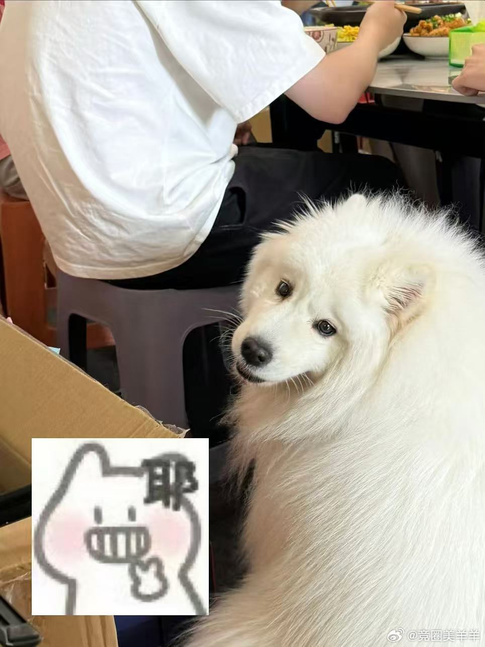 趣味名场面来袭，伞兵一张图生动把水桶腰具象化，画面诙谐又有趣，赛场之外...