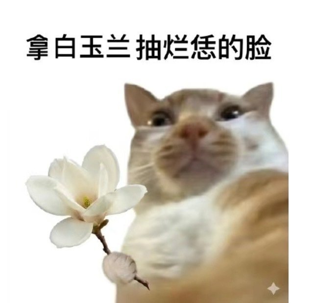 啊门啊前一棵玉兰树啊嫩啊嫩绿地刚开花虾爬拿著那重重的钳呀一步一步地往上爬