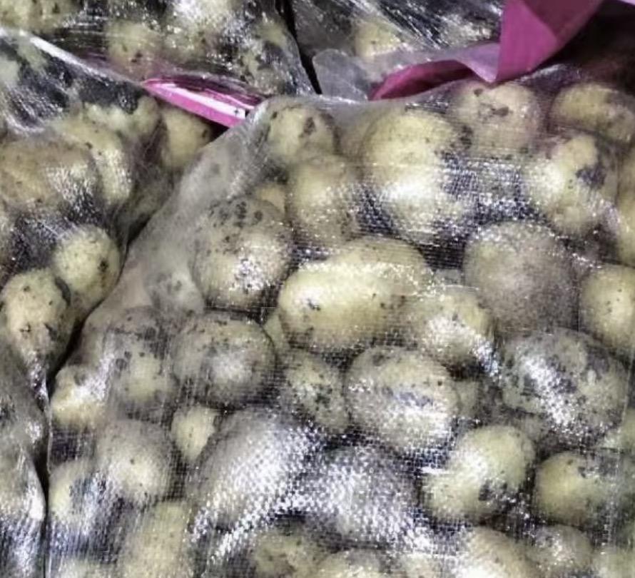 “这事真荒唐！”陕西商洛，一司机运输35吨土豆下高速走绿通，谁知收费员在检查完后