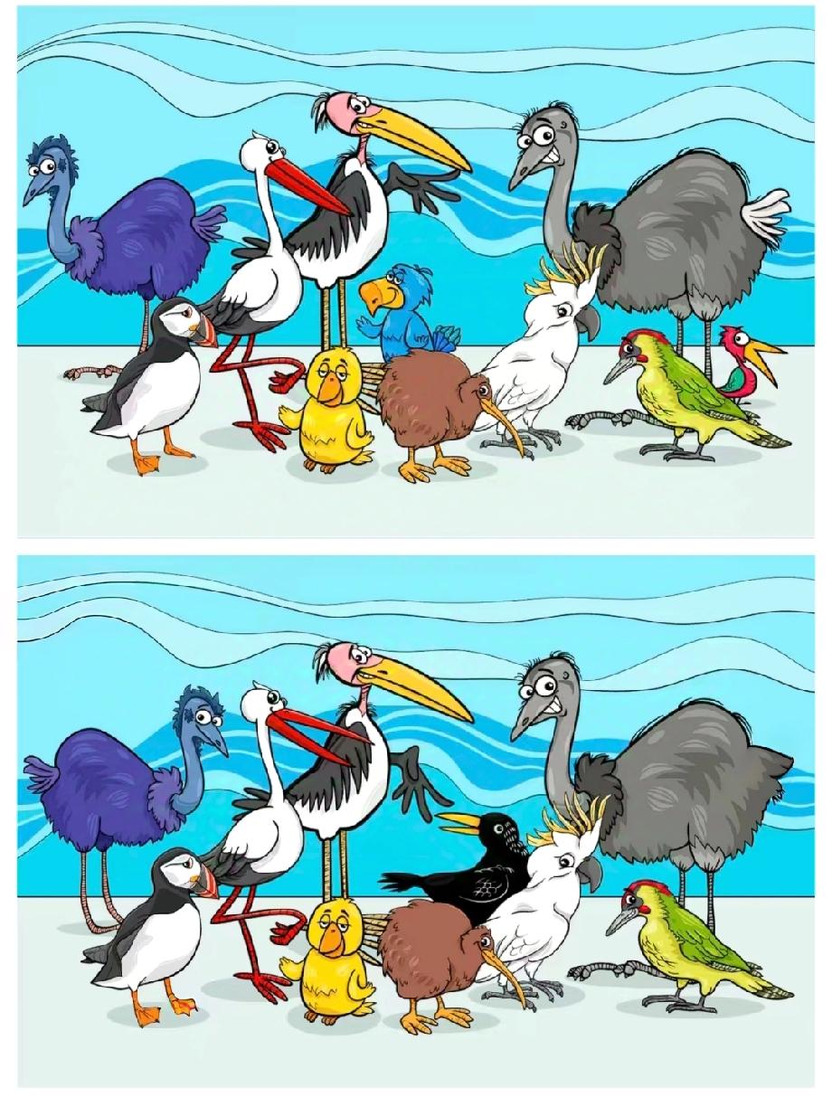  两张鸟群图藏着区别，90%的人看了3遍才找到！你能秒发现吗？