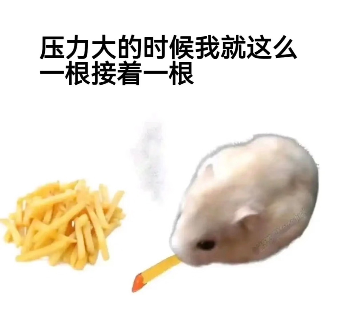 压力大的时候，我就这么一根接着一根