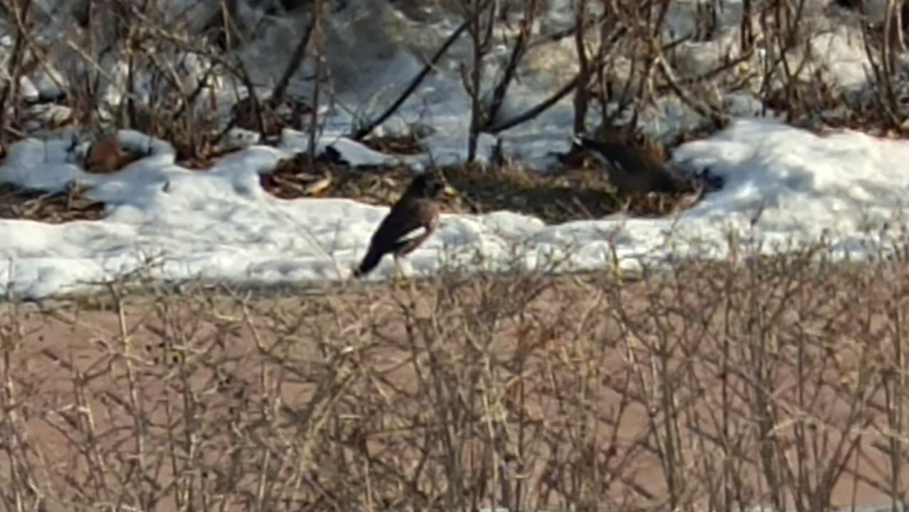 你会同意吗？每人发1000元，按身份证或社保卡发，不限制消费用途。近期一位专家的