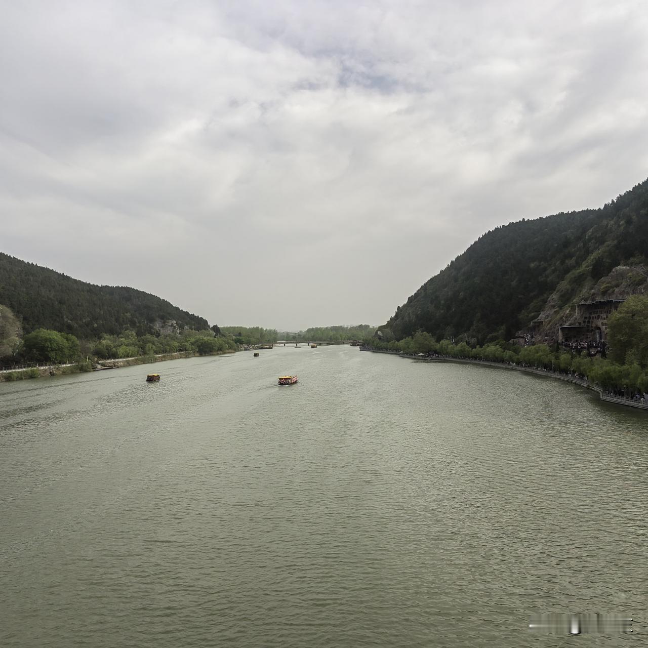 你可能不相信，有些人的耳朵堪比猫耳，眼睛堪比海豹，但嘴巴绝对是生物界最强。不信