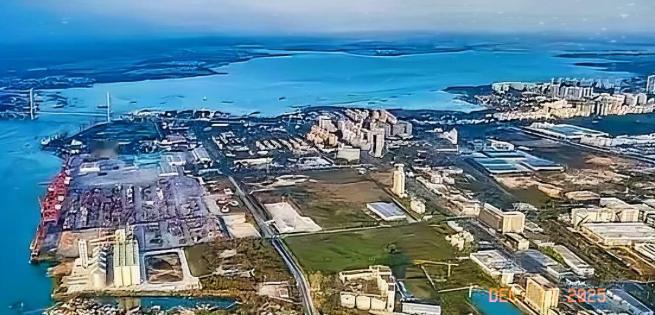 看着新加坡近几日这窜上跳下的劲儿，我算是回过味儿来了。12月18号海南全境封