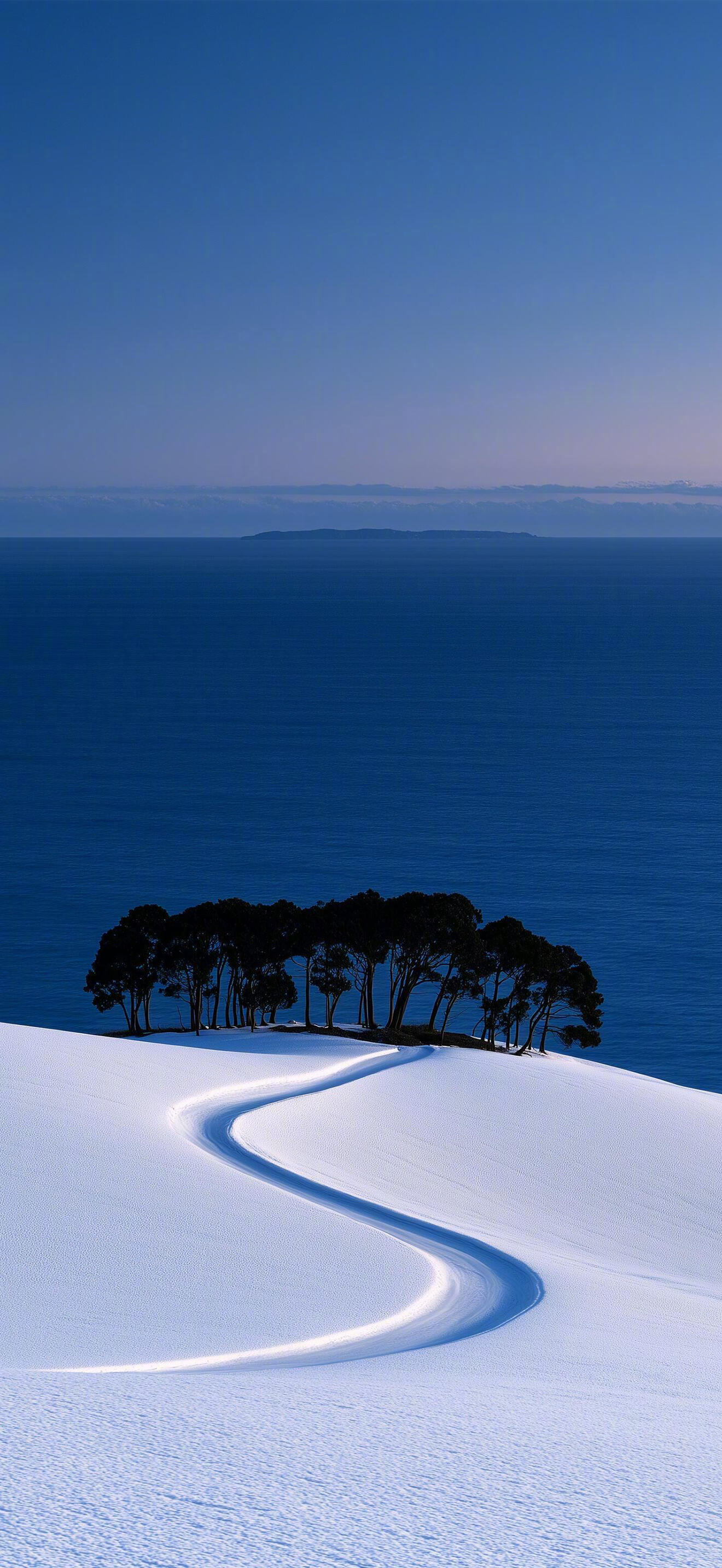 雪之海​​​