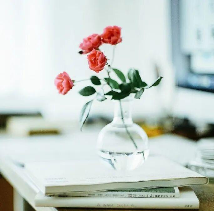 婆婆是二婚，她留在前婆家的儿子要买楼房，上星期找婆婆借钱，婆婆左右为难，既愿意帮