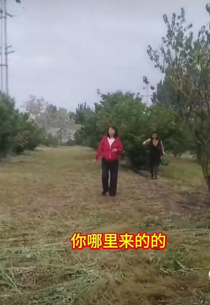 5月11日，山东青岛，这两大姐摘别人家的樱桃还如此嚣张，大爷大妈也太老实了吧……