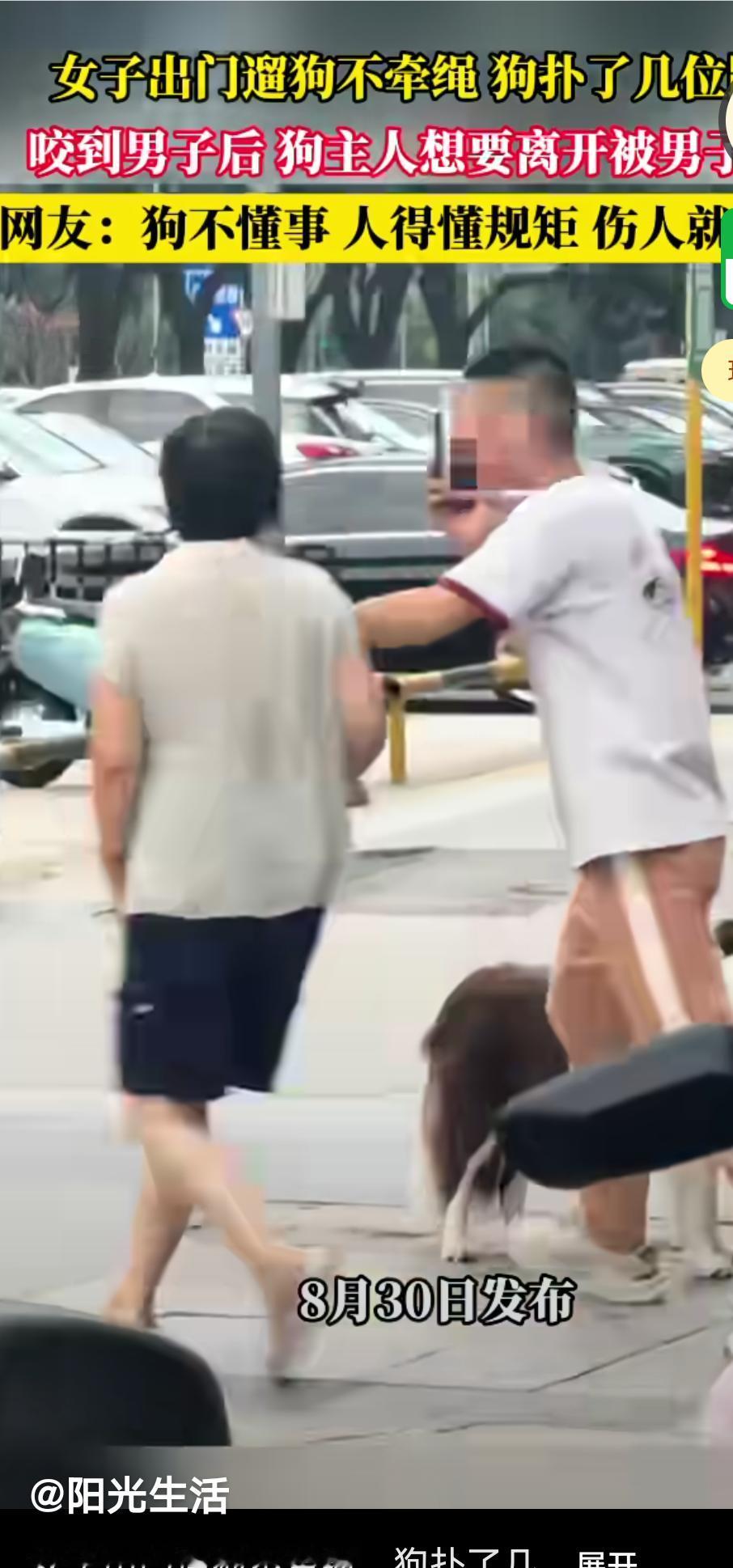 女子出门遛狗不牵绳，狗扑咬了好几位路人，狗咬到男子后狗主人想要离开被男子阻止“狗