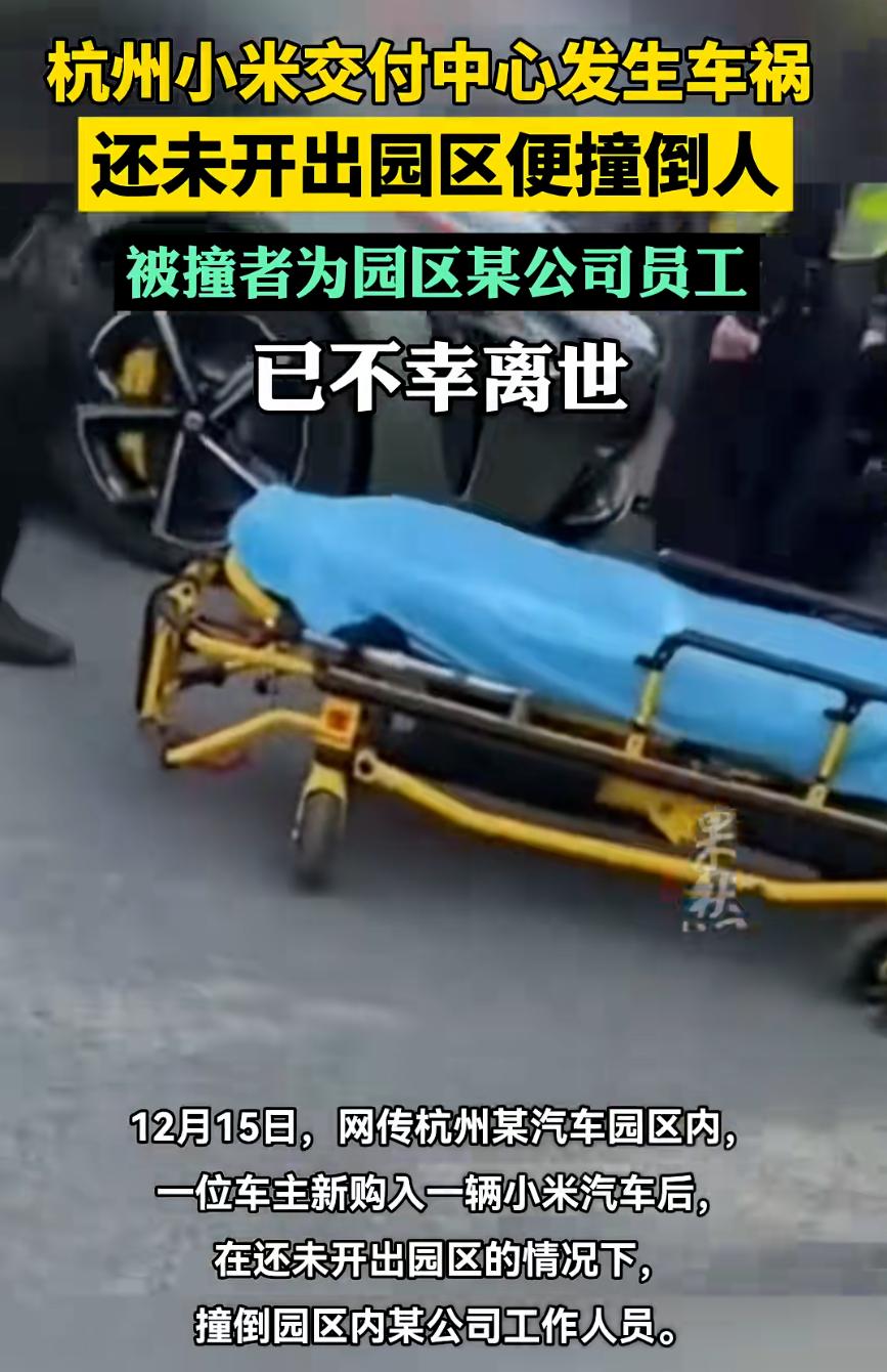 小米多事之秋啊！热搜不断，都是负面新闻。杭州小米交付中心，一位车主新买了车，