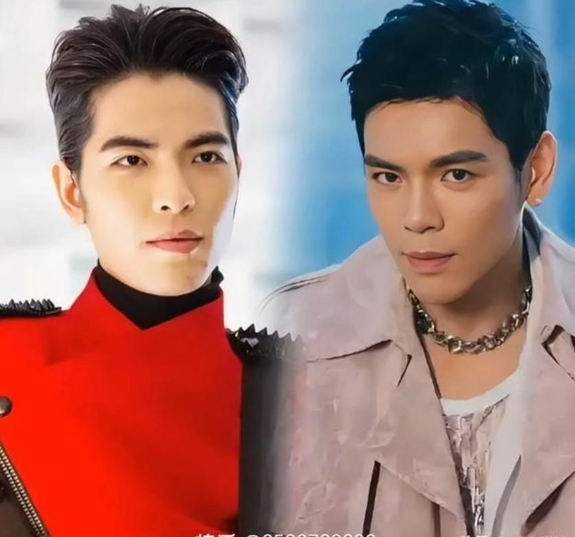 你来猜猜他们是不是亲兄弟？或者是有没有血缘关系？如果是让不认识这两位的人来猜的话