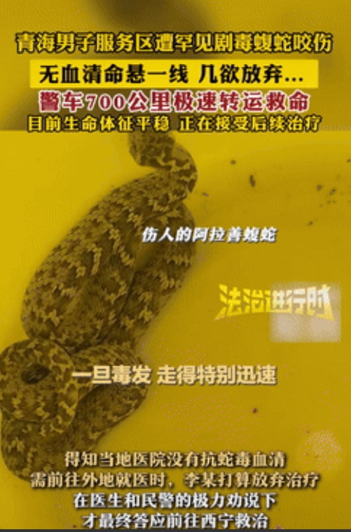 人定胜天！青海，一男子在服务区被毒蛇咬伤，去当地医院被告知没对应的血清，必须去7