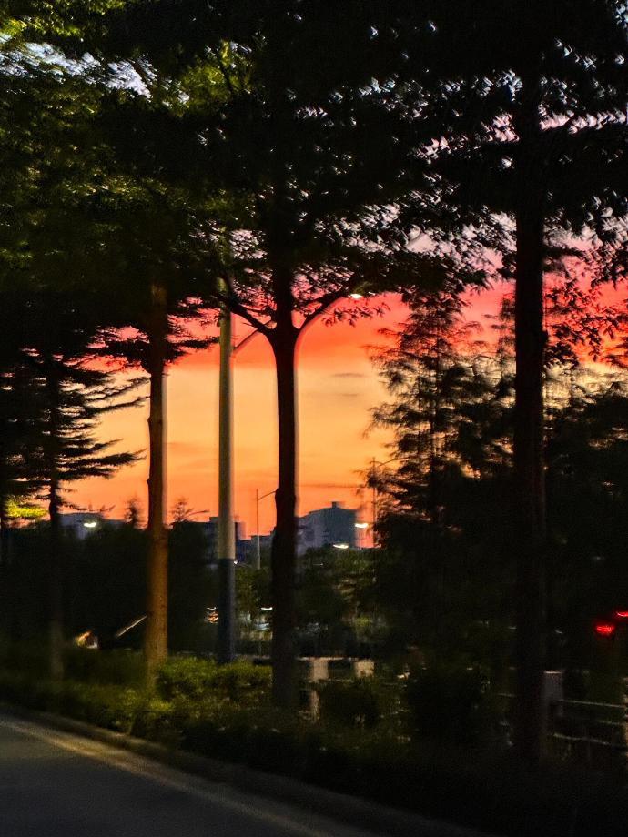 人到底能感受到多少个夏天。​​​