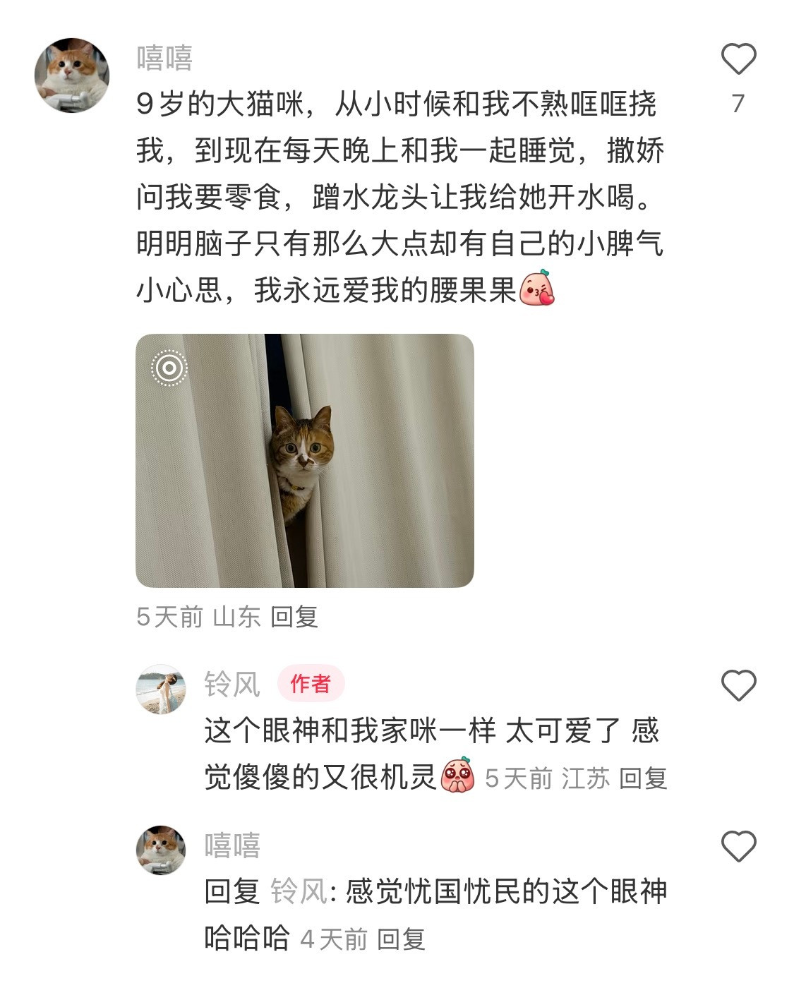 发现大猫其实要比小猫好玩很多​​​