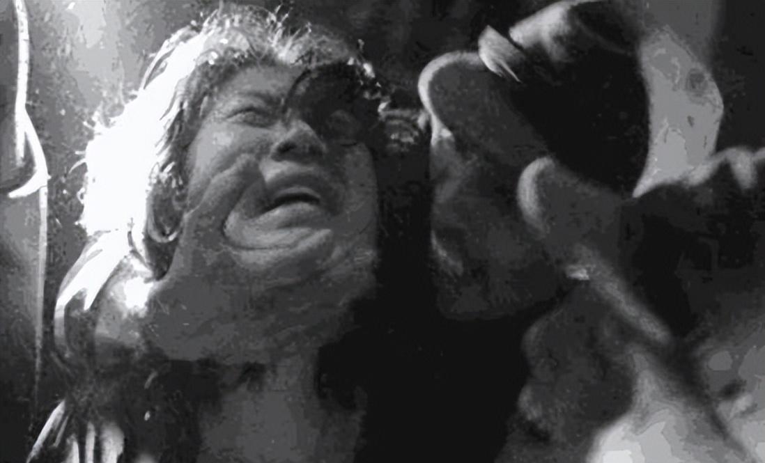 1943年，一个女人受到日本人的侮辱，在山洞里生下了一个男孩。那个冬天的太行