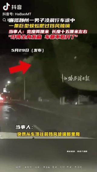 “太吓人了，这是成精了？”5月28日浙江台州一男子夜间开车途中，车窗上突然爬来一