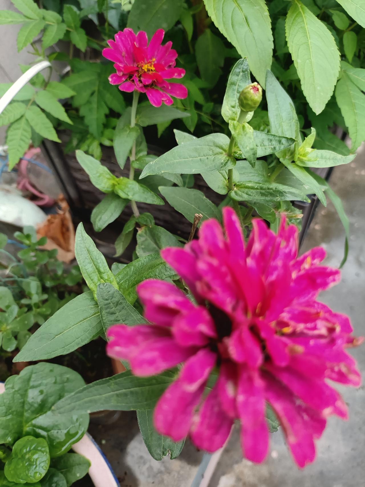 善良的人一旦翻脸：不吵不闹，沉默就是永久绝交生活里你仔细观察就会发现：真正