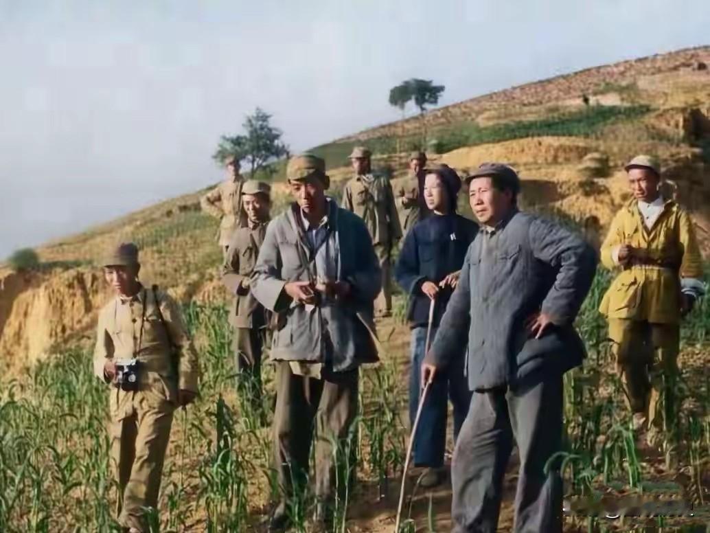这张老照片是毛主席转战陕北时留下的！照片中我们可以看到，当时条件特别艰苦，毛