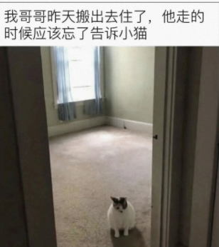 应该忘了告诉小猫