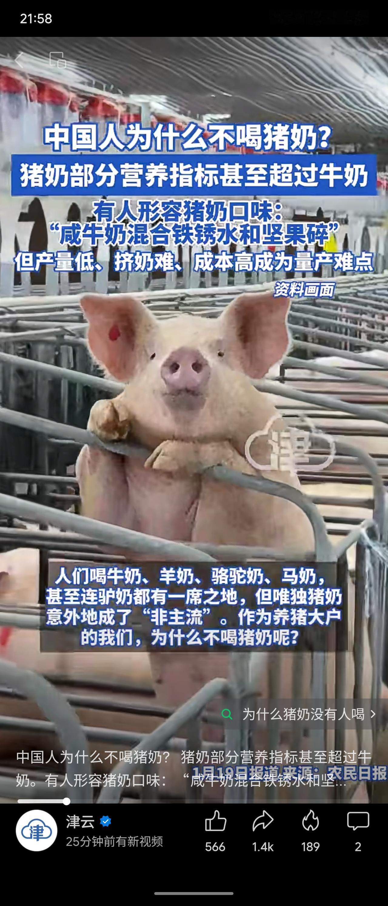 尽管猪奶部分营养指标（如蛋白质）优于牛奶，但其未能成为日常饮品的主要原因在于生产