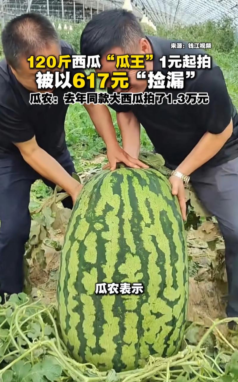 “捡大便宜了！”一位瓜农把120斤的瓜王放到网上拍卖，没成想，最终成交价只有61
