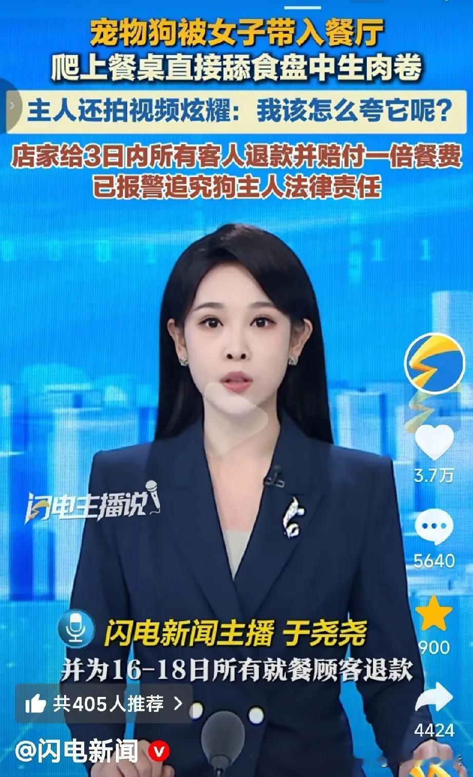 大快人心！让狗舔盘子的女子彻底笑不出来了，这回赔定了！终于为自己的荒唐行为付