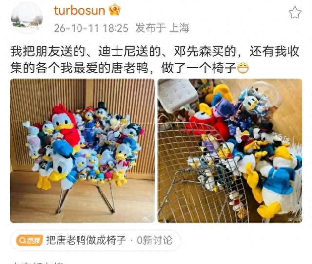 孙俪, 太能干了, 把满屋唐老鸭做成一把椅子, 这动手能力也太强了