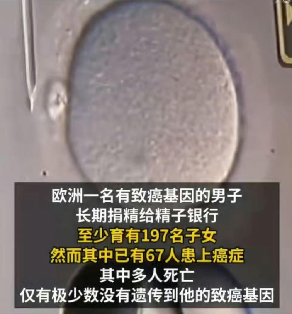 一条“隐形炸弹”式的家族血脉，正在欧洲14国悄悄引爆。故事的主角叫“凯尔”，