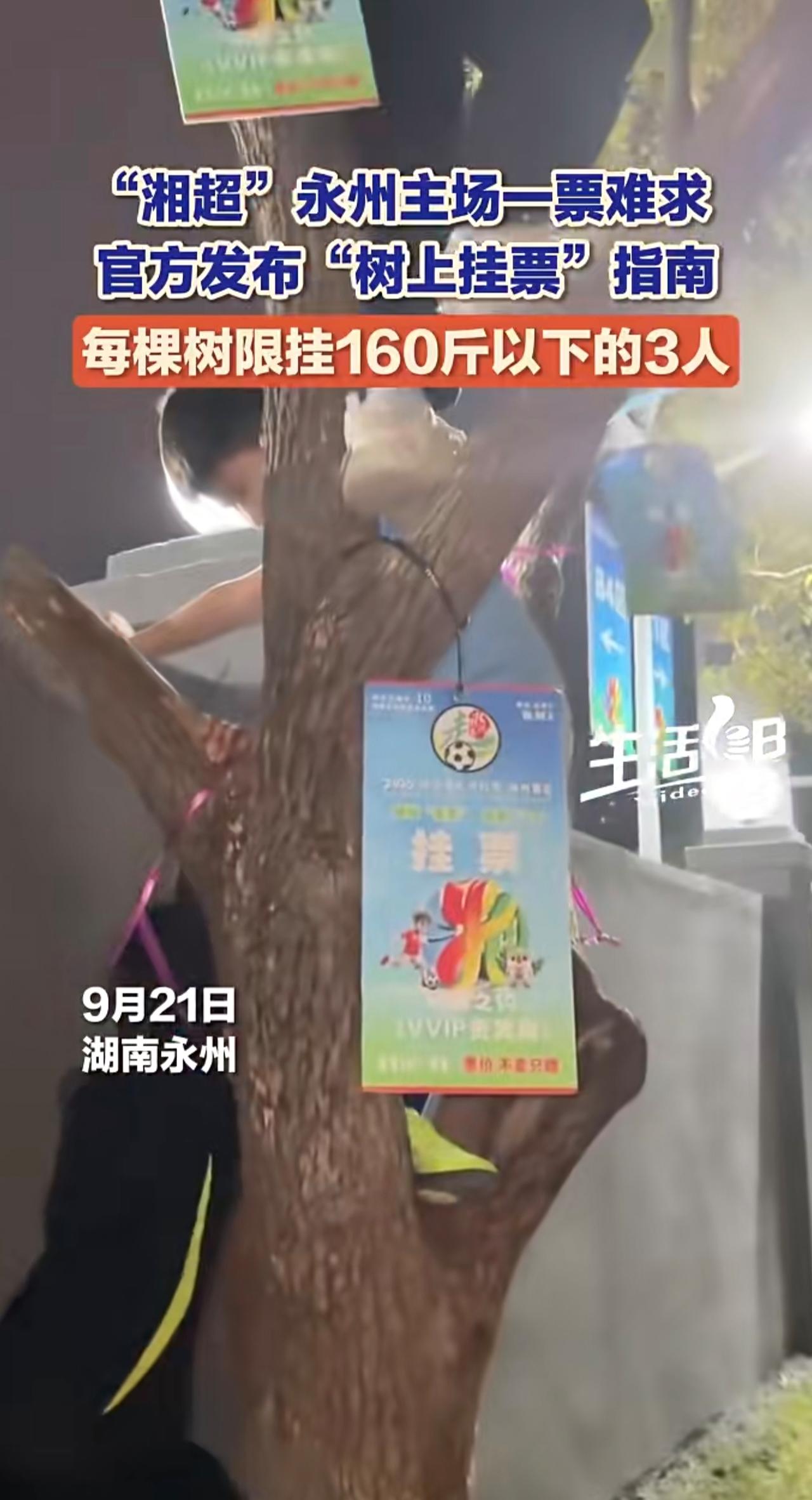 每棵树限挂三人。9月21日，永州足协发布《湘超永州主场“树上挂票”使用指南》。