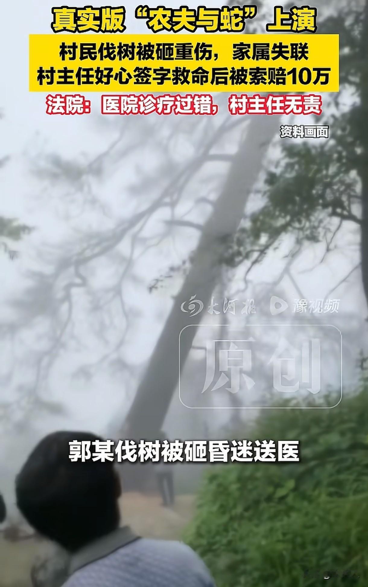 “真实版农夫与蛇？”河南，男子砍树被砸伤，家里没人，村主任签字救人，因医院诊疗过