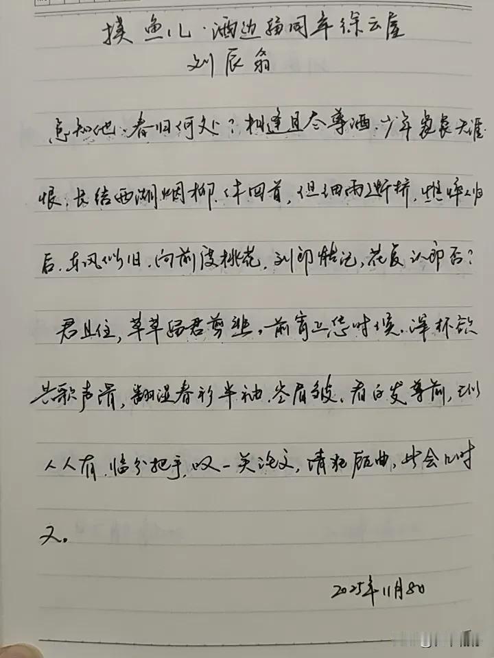 抄书第995天（2025年11月8日）静心✔戒浮躁，一笔一划。