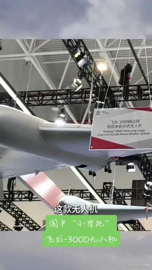 美国《军事观察》杂志援引中国《兵工科技》杂志的文章称，中国生产的一款飞龙-300