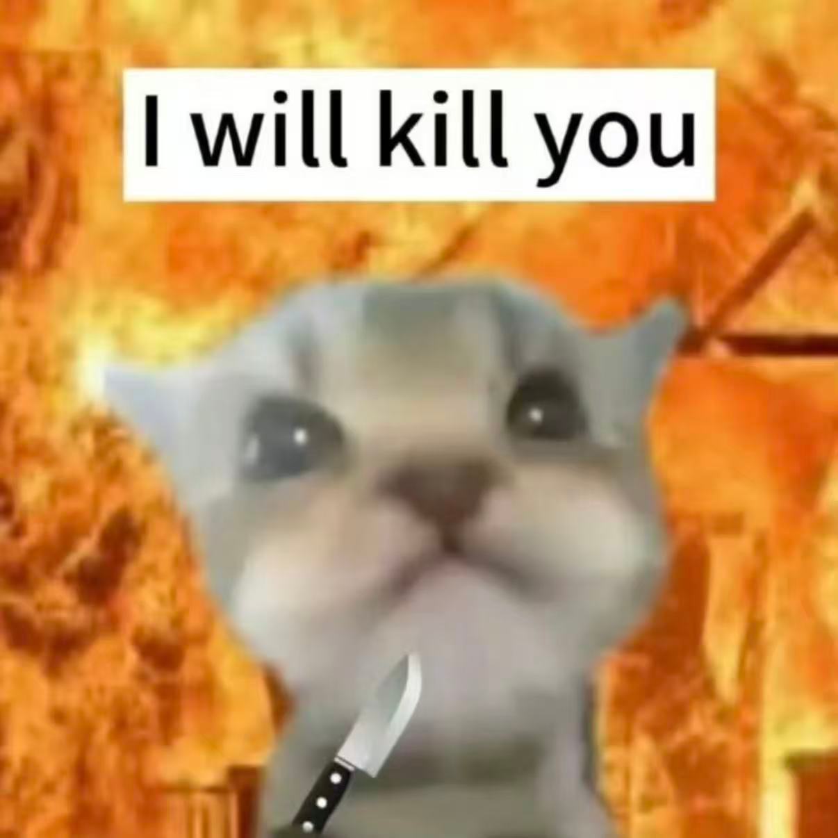 谢谢你像陨石一样出现在我的世界，但是我是恐龙，你毁了我的生活。