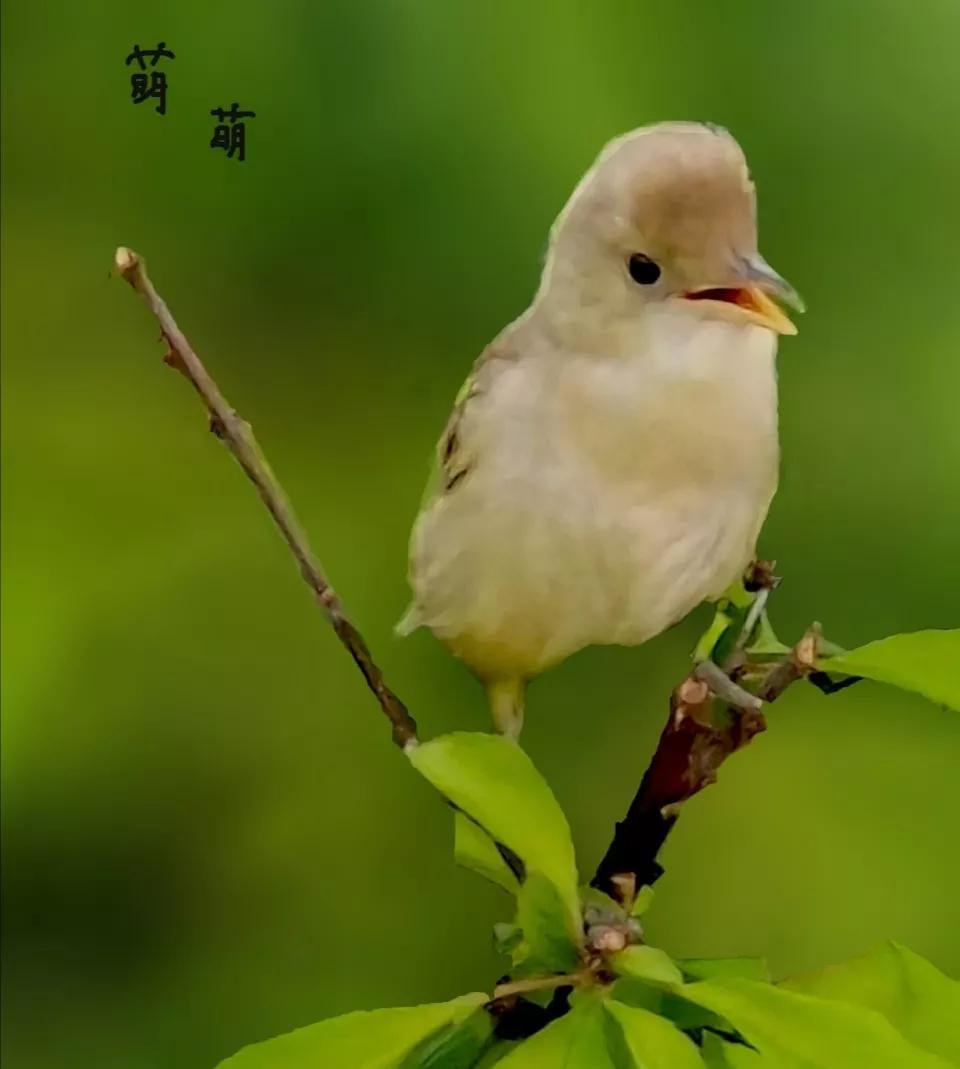 活到五六十岁，你会发现，人这一辈子，拼命地赚钱，管老人管孩子，帮兄弟姐妹。当你