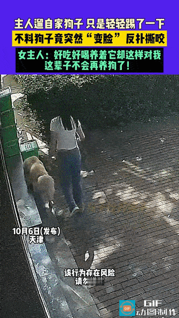 这狗还能要吗？天津，女子遛狗，只是轻轻踢了它一下，就当场变脸撕咬主人，女子：好吃