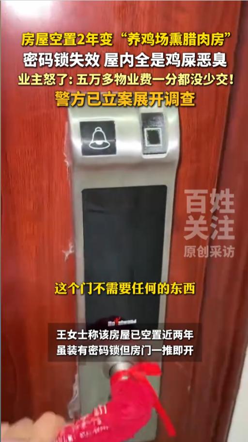 “物业就这么干活的？”近日，湖南怀化，一女子回到了空置两年的房子，进门就呆住了。
