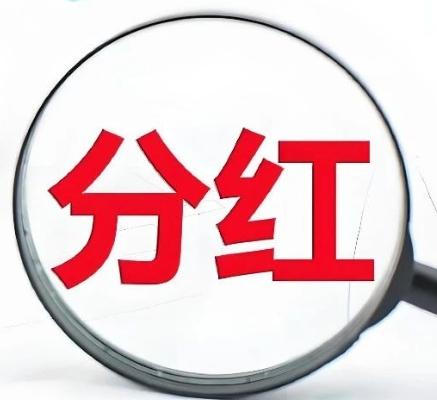 高股息老登股长期靠分红稳收益，为何大部分散户拿不住？有一种股票，波动小，每年