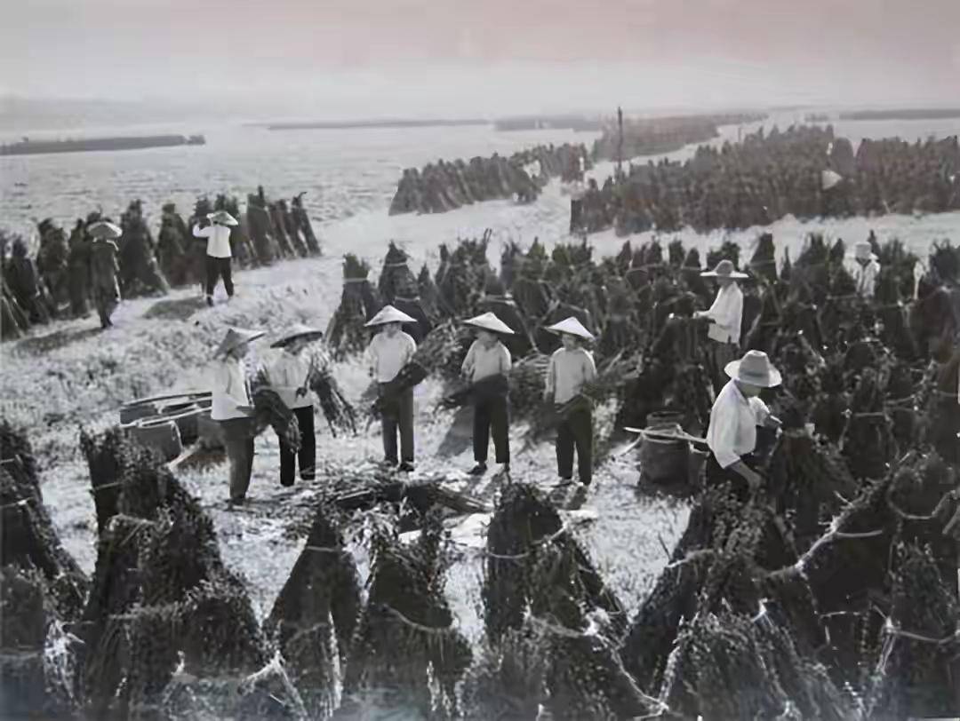 1948年，济南战役中，王耀武有一个团，被包围后仍死战不退，全团7个连1000多