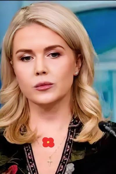 美国被中国再度拒绝了，美国官员很沮丧。“中国不想跟我们合作了，中国想要实现半导