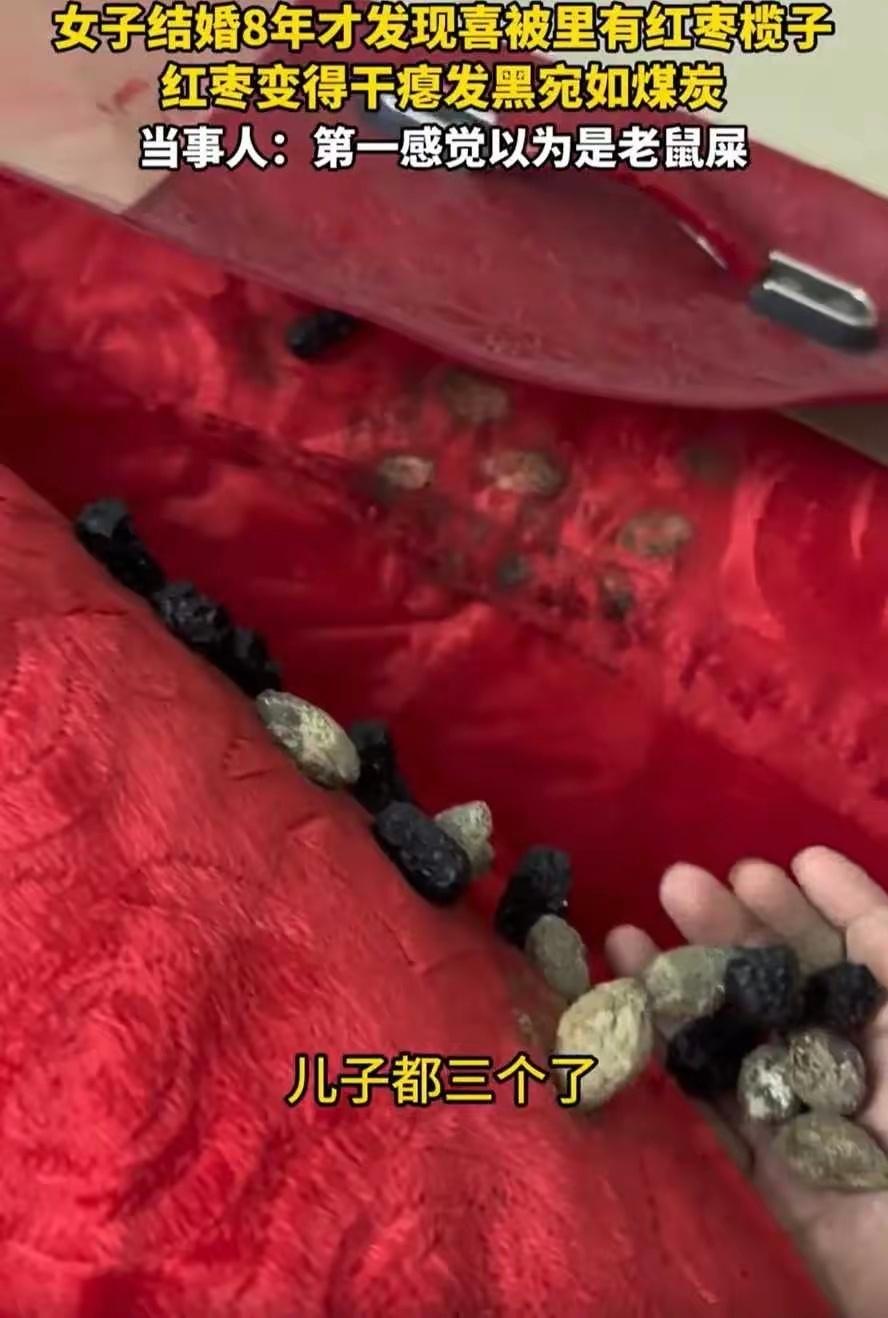 谁能想到拆洗一床旧被子，竟能拆出藏了八年的“时光彩蛋”？河南有位女士整理家务时，