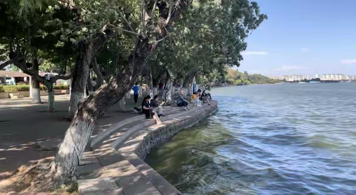 近期昆明公共平台发布，拟投资约5亿对滇池海埂公园进行提升改造。看来这个陪伴了近六