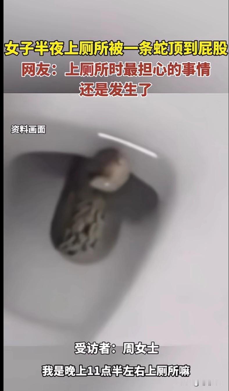 “家人们谁懂啊！江苏无锡一女士半夜上厕所，居然被一条蛇顶到屁股！这简直是所有怕蛇
