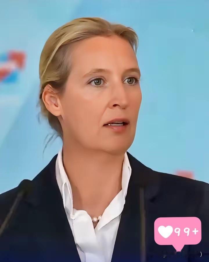 真是打脸！10月7日，“德国选择党”主席魏德尔，在联邦议会表示，既然默茨总理