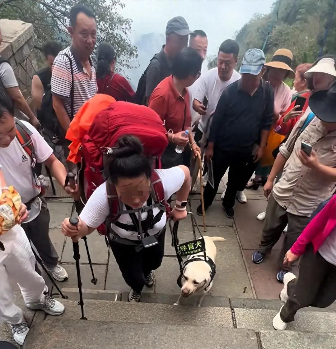 有一对网红夫妻为了博取流量带着导盲犬到处旅游，起初全是好评，没想到他们竟然雨天带