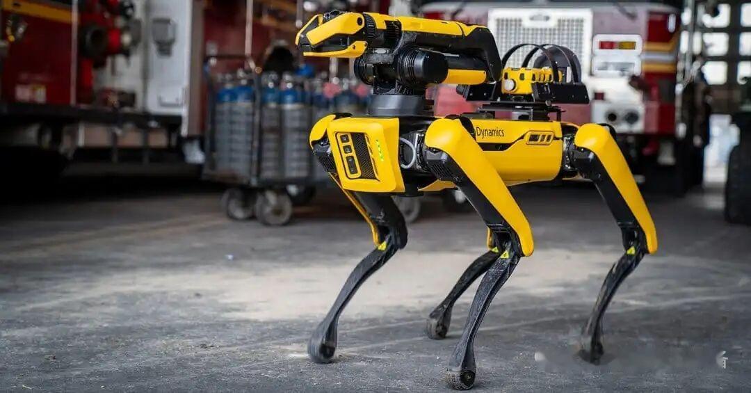 5月16日，社交媒体公布了中国🇨🇳无人作战班组系统的机器狼之外还有机器獒，可