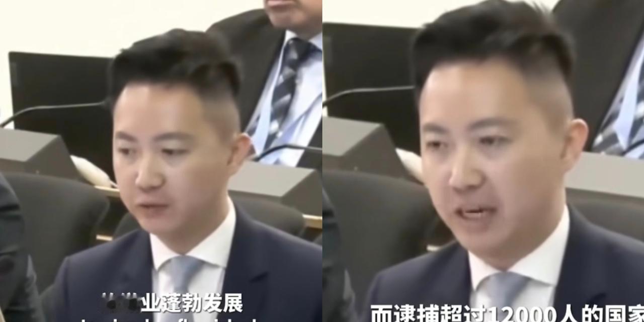西方媒体：你们没人权，你们到处都是监控！议员李梓敬:爱泼斯坦的“萝莉岛”上，你
