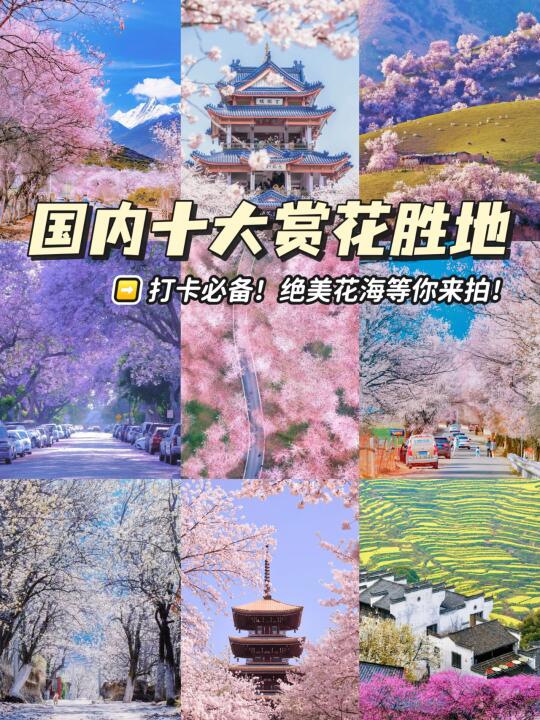 国内十大赏花胜地🌸赴一场花的盛宴