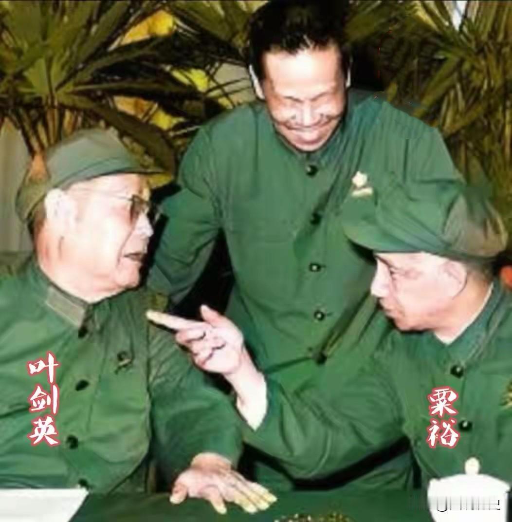 粟裕和叶帅“吵架”？这张合影拍摄于1971年6月，在事科学院第一次党代会主席